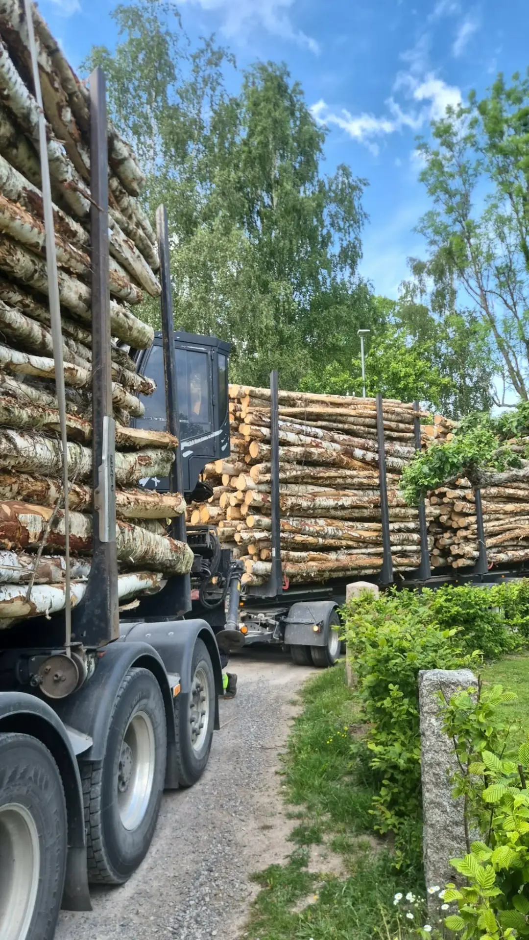 Björktimmer från lokala markägare i Glasriket