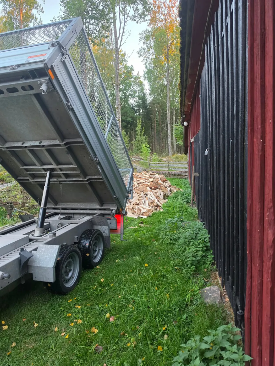 Tippsläp tippar av kluven björkved vid leverans intill en röd lada