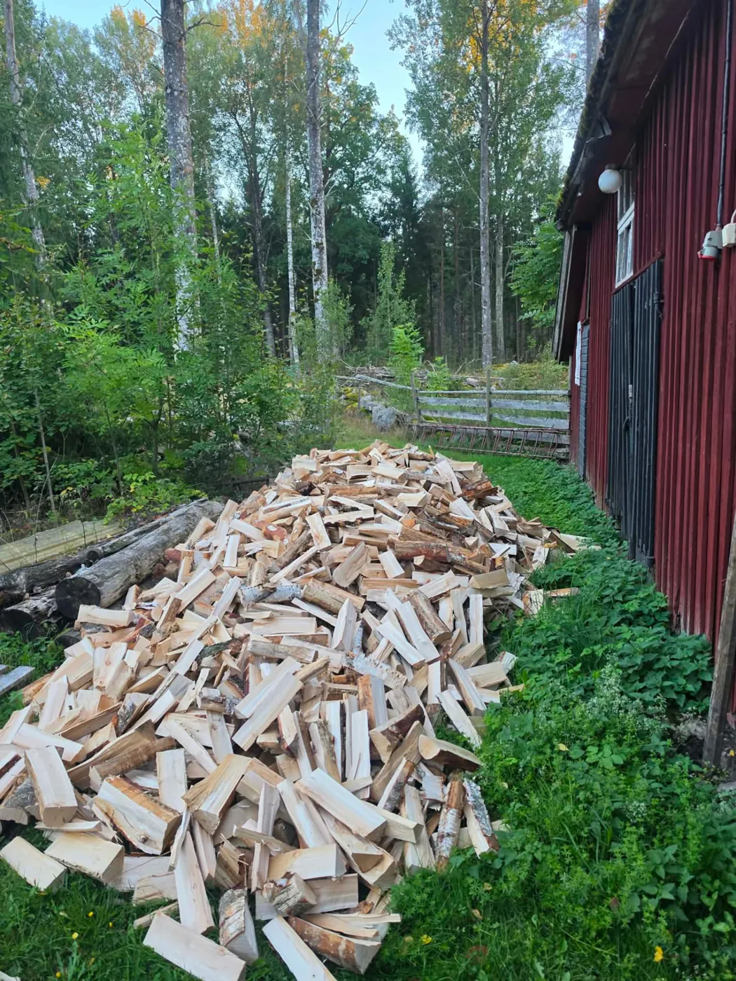 Stor hög med nykluven björkved vid en röd lada i skogskanten
